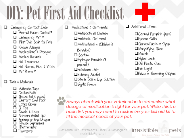 DIY Pet First Aid Kit