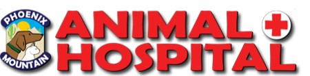 Phoenix mountain animal hospital, az dog sports