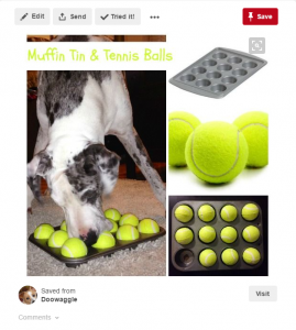 Dog Games to Solve Boredom in Your Dog