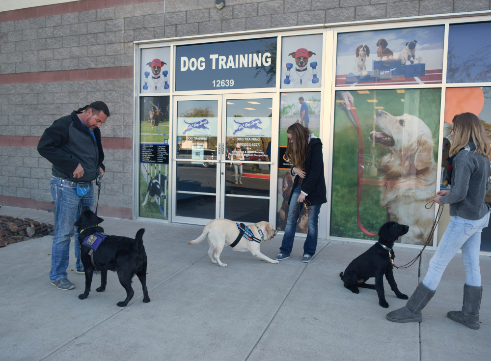 Service Dog Class Diary Of A Service Dog AZ Dog Smart