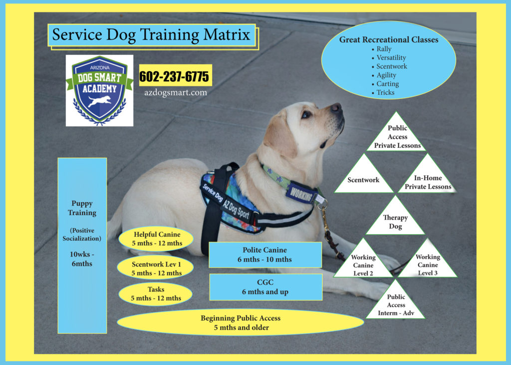 service dog, service dog training, service dog classes, az dog sports